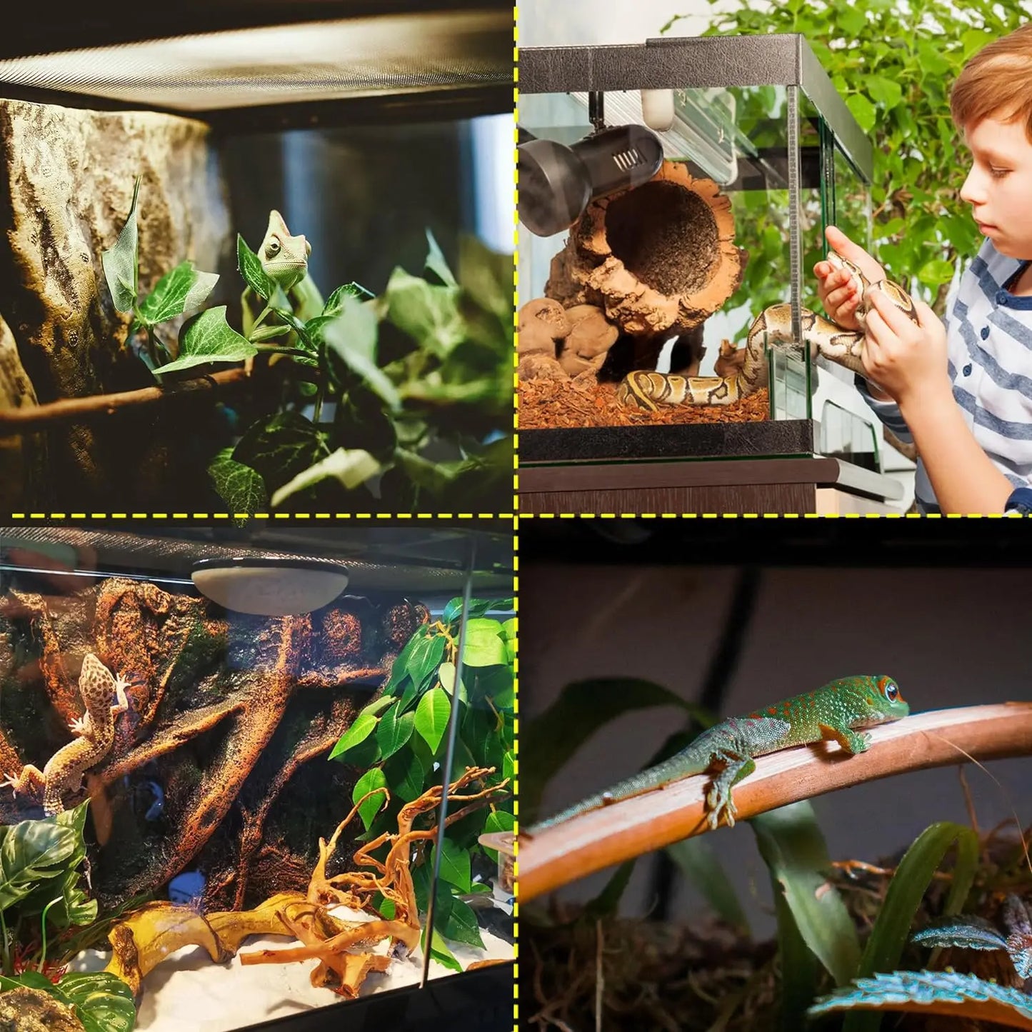 43 Gallon Professional Glass Terrarium 24"x18"x24" Durable Reptile Habitat