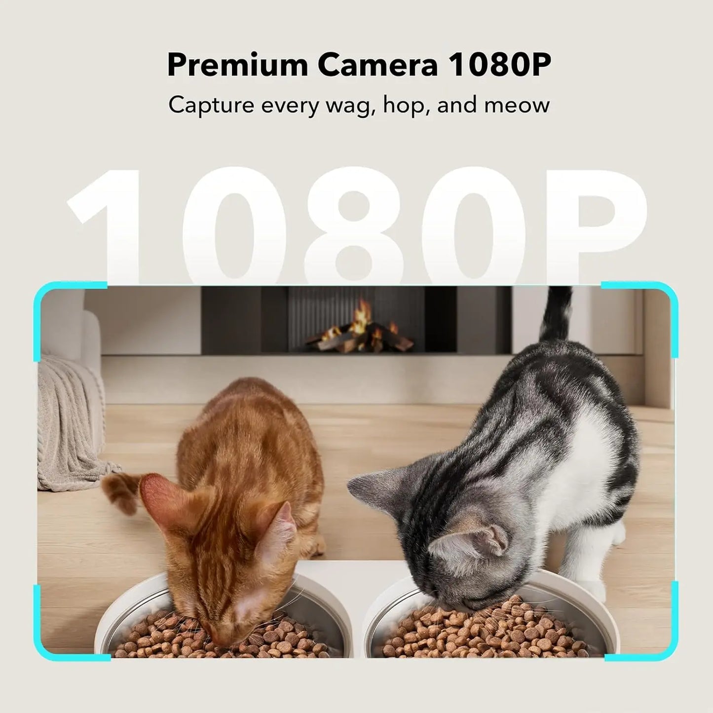 Automatic Cat Feeder with Camera for Two Cats