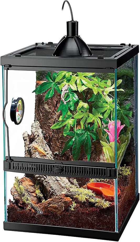 Vertical Habitat Starter Kit for Small  Reptiles