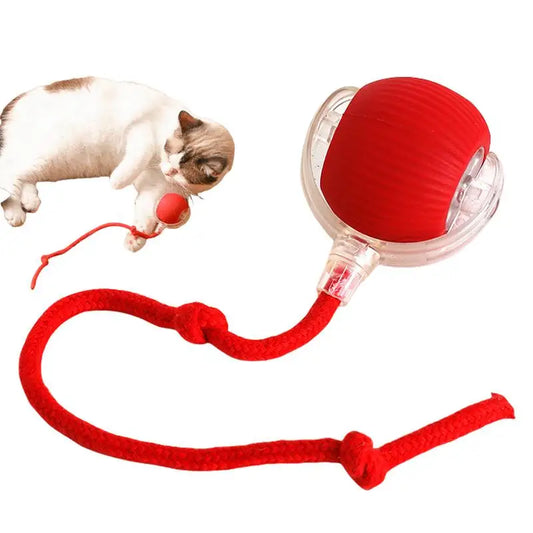 Interactive Cat Rolling Ball Super Drive Toy