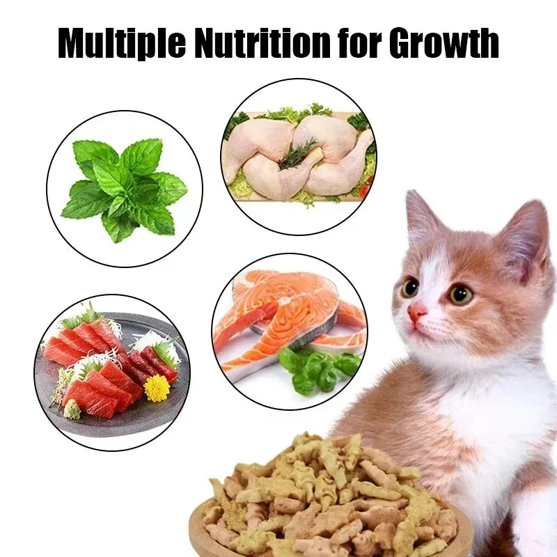 Cat Biscuits Salmon Snacks Multiplicity Nutrition Health